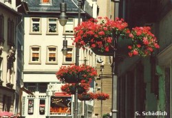 Blumenampeln Kirchstraße